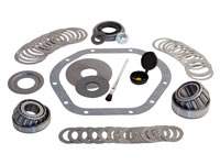 Pinion Differential Rebuild Kit